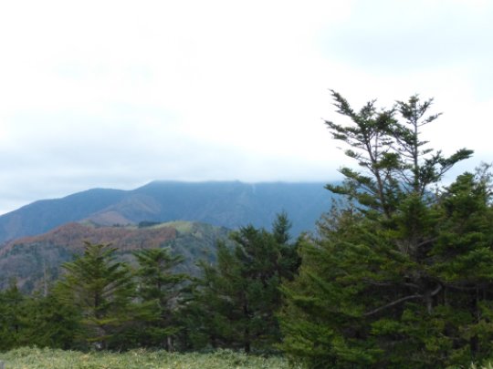 神坂山